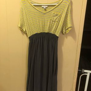 Cinched Liz Lange maternity dress
